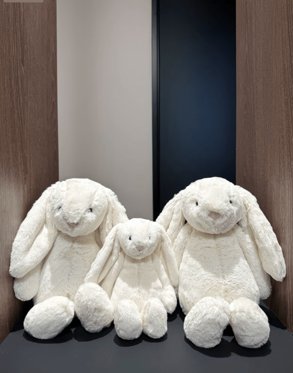 JELLYCAT 36cm大Bunny兔兔🐰 ｜抱着睡剛剛好💕超有安全感✨ - Topickstore