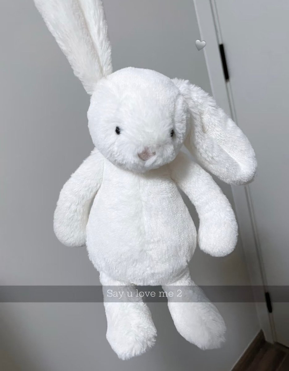 JELLYCAT 36cm大Bunny兔兔🐰 ｜抱着睡剛剛好💕超有安全感✨ - Topickstore