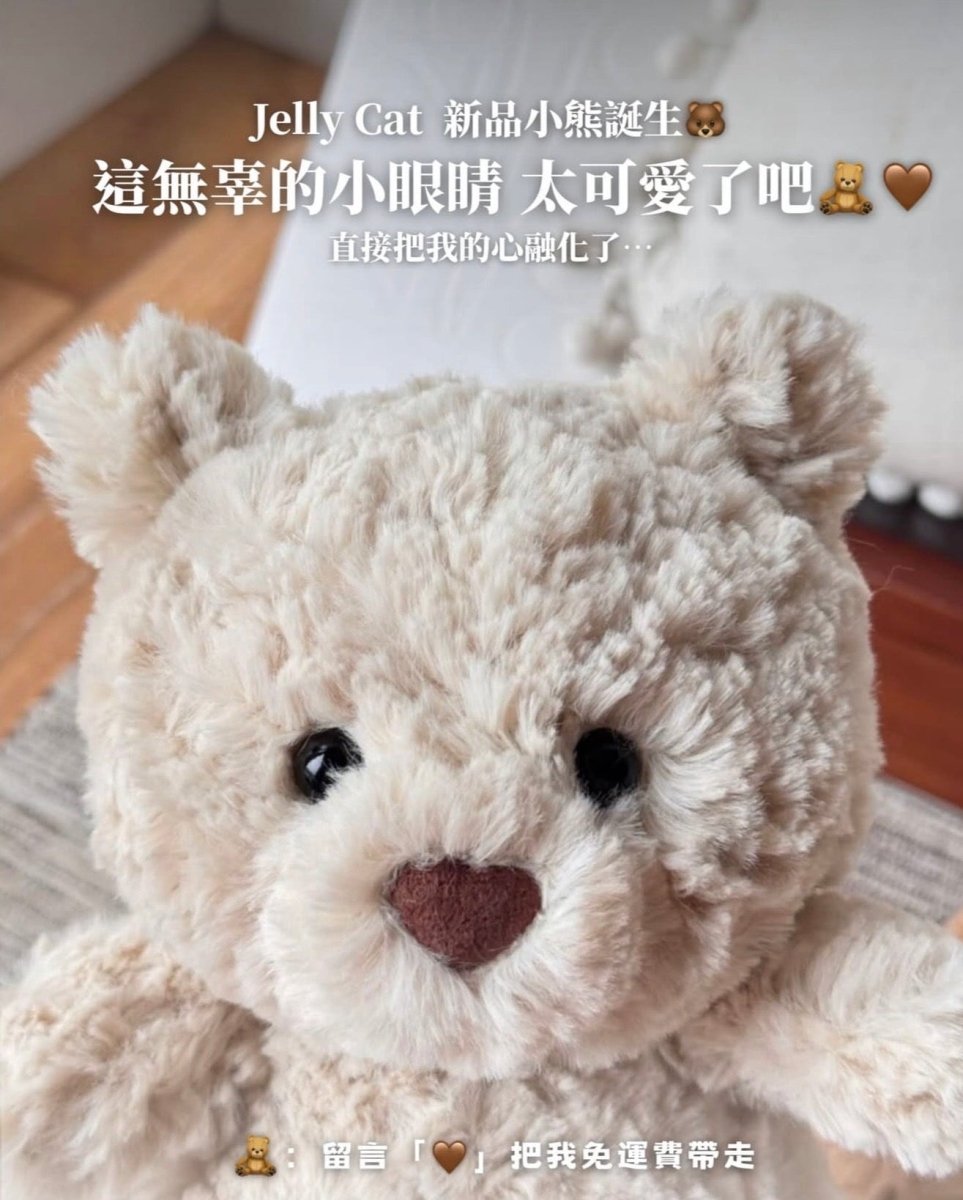 JELLYCAT 奶白小熊｜[軟萌療癒・限量發售🧸] - TOPICKSTORE