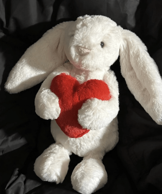 JELLYCAT Bashful Bunny with Heart 抱心心兔兔公仔 - Topickstore