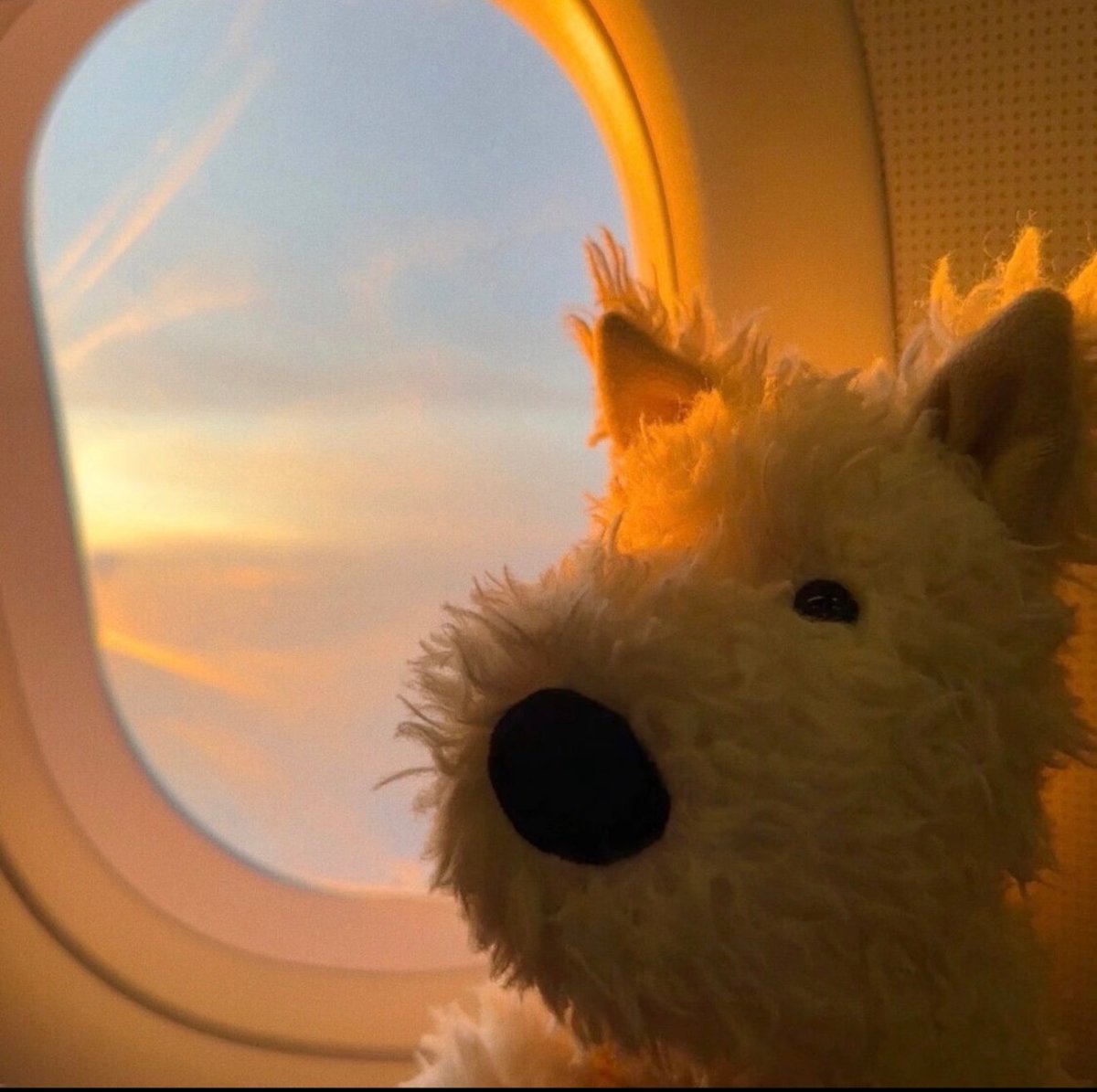JELLYCAT Munro Scottie Dog 蘇格蘭小狗公仔 - Topickstore
