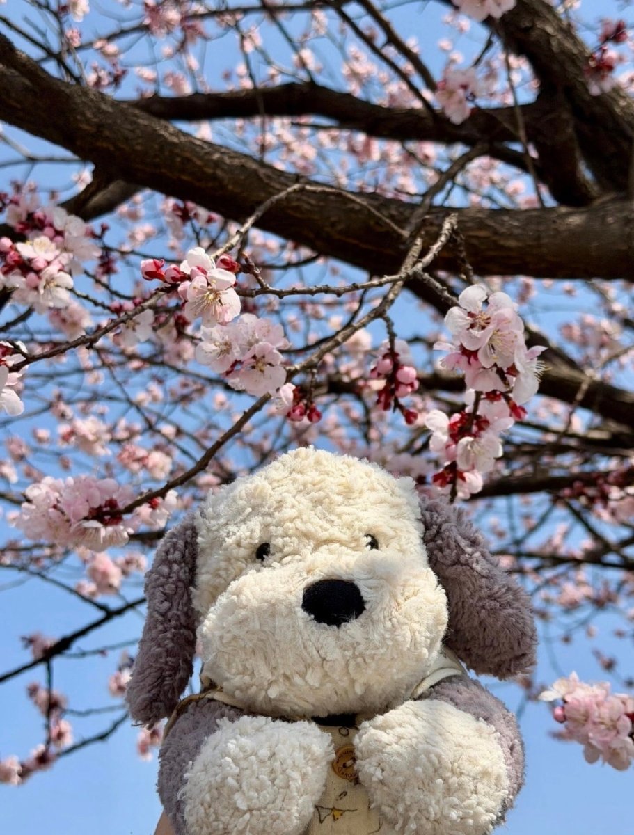 JELLYCAT 牧羊犬 TUMBLE - Topickstore