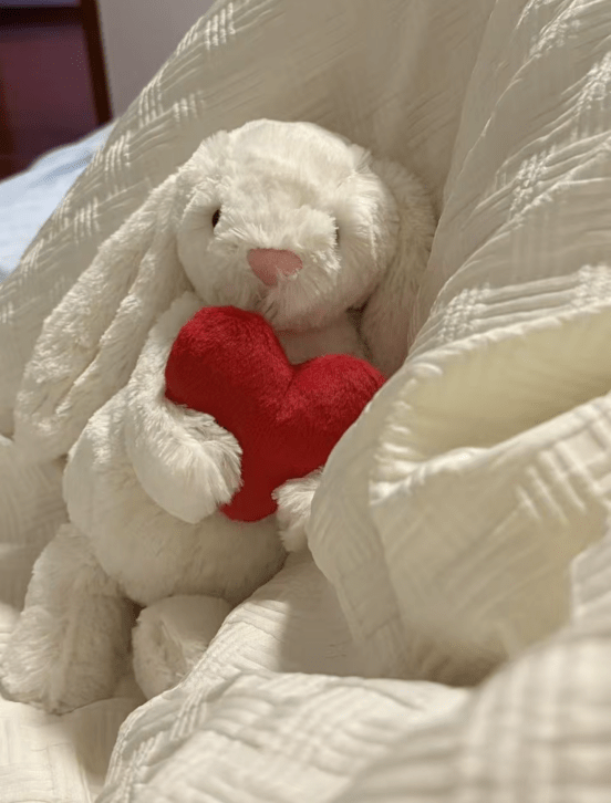 JELLYCAT Bashful Bunny with Heart 抱心心兔兔公仔 - Topickstore