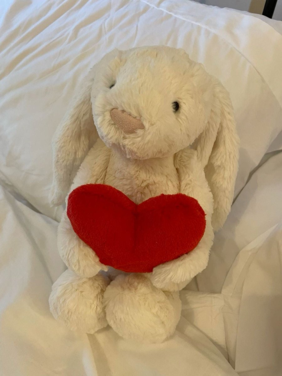 JELLYCAT Bashful Bunny with Heart 抱心心兔兔公仔 - Topickstore