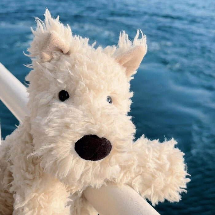 JELLYCAT Munro Scottie Dog 蘇格蘭小狗公仔 - Topickstore