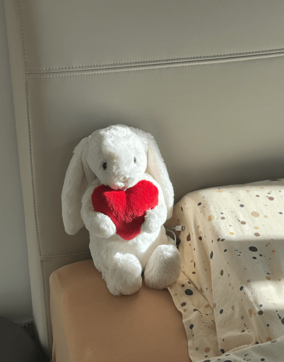 JELLYCAT Bashful Bunny with Heart 抱心心兔兔公仔 - Topickstore