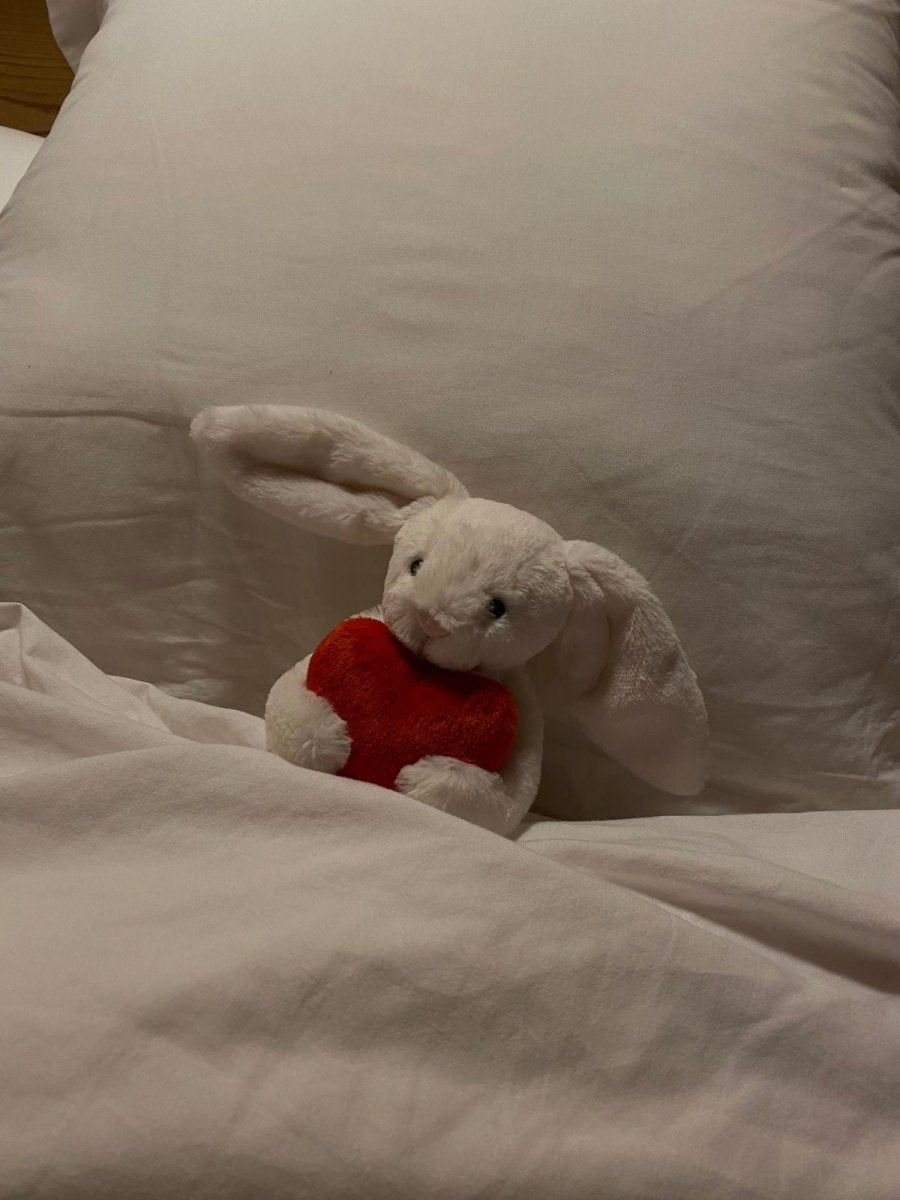 JELLYCAT Bashful Bunny with Heart 抱心心兔兔公仔 - Topickstore