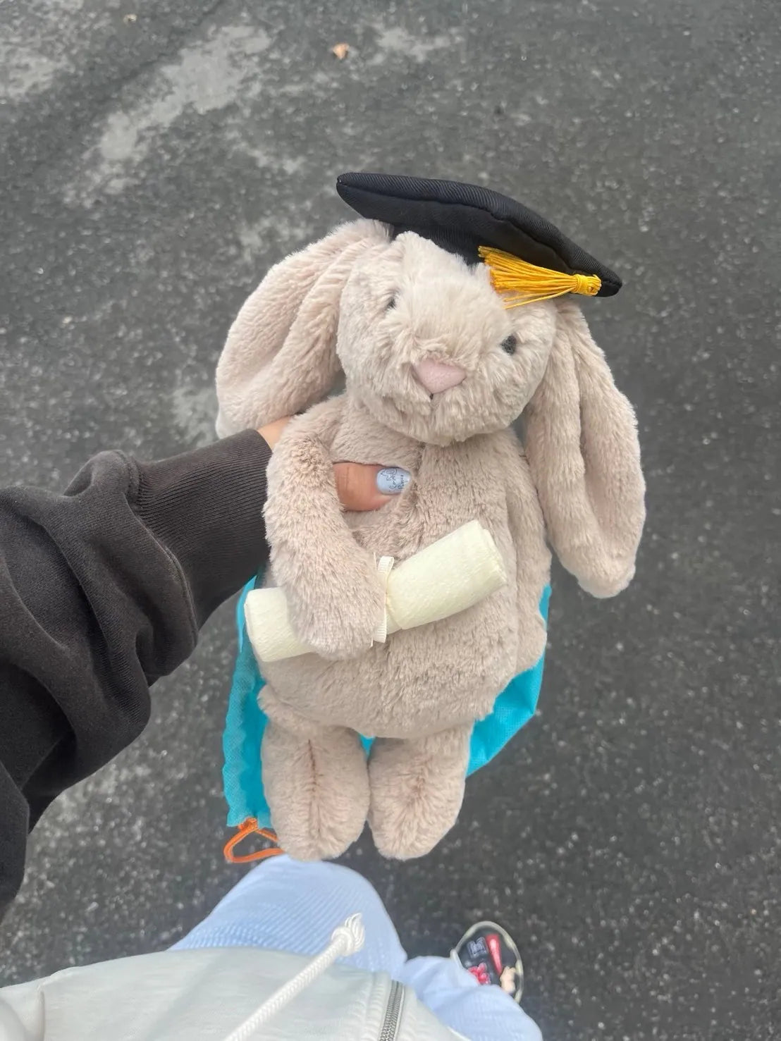 JELLYCAT 畢業兔｜畢業季必備🎓